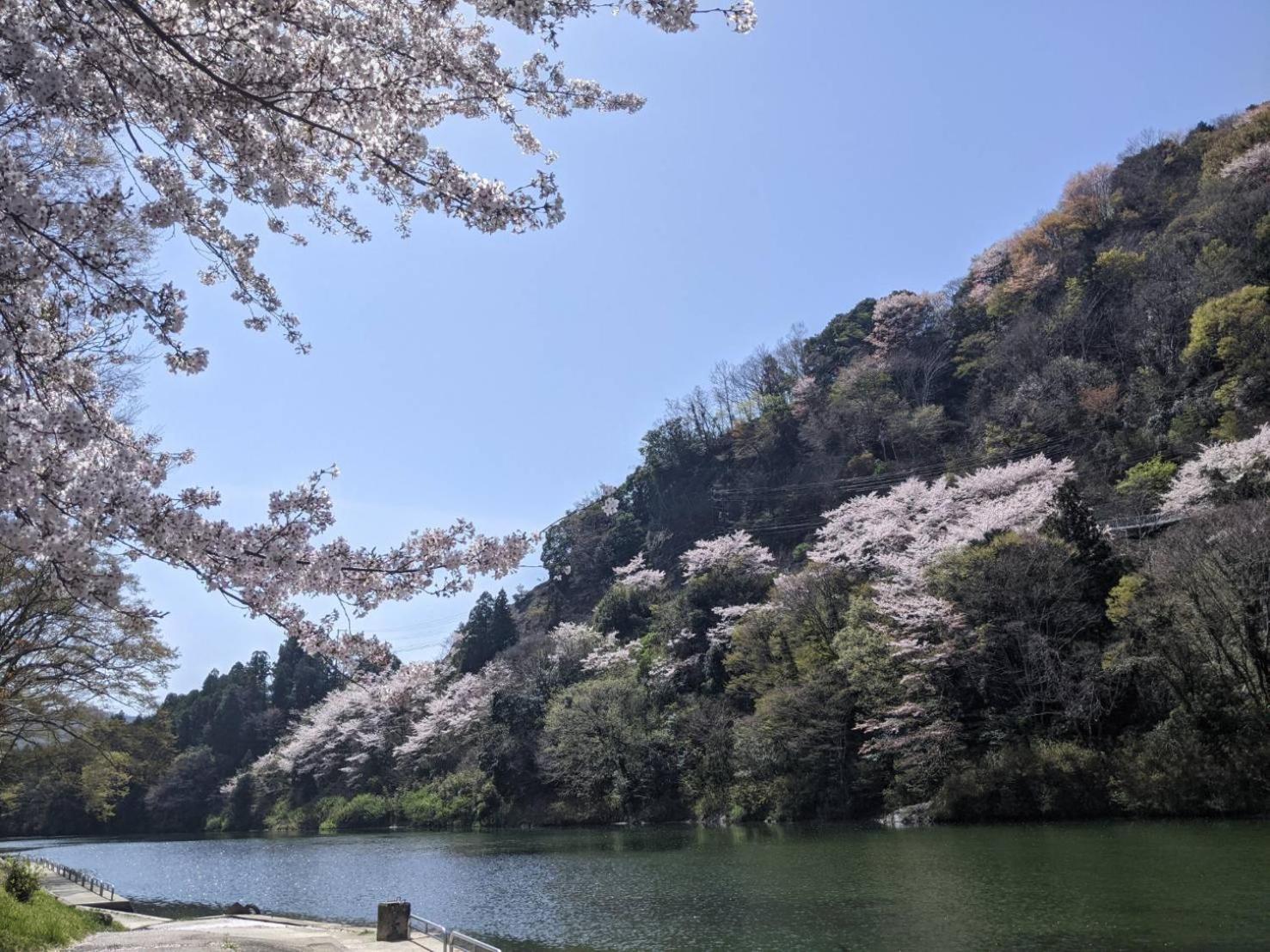 加美屋リゾート伊勢神宮 おかげの庭 Villa Ise Exterior foto