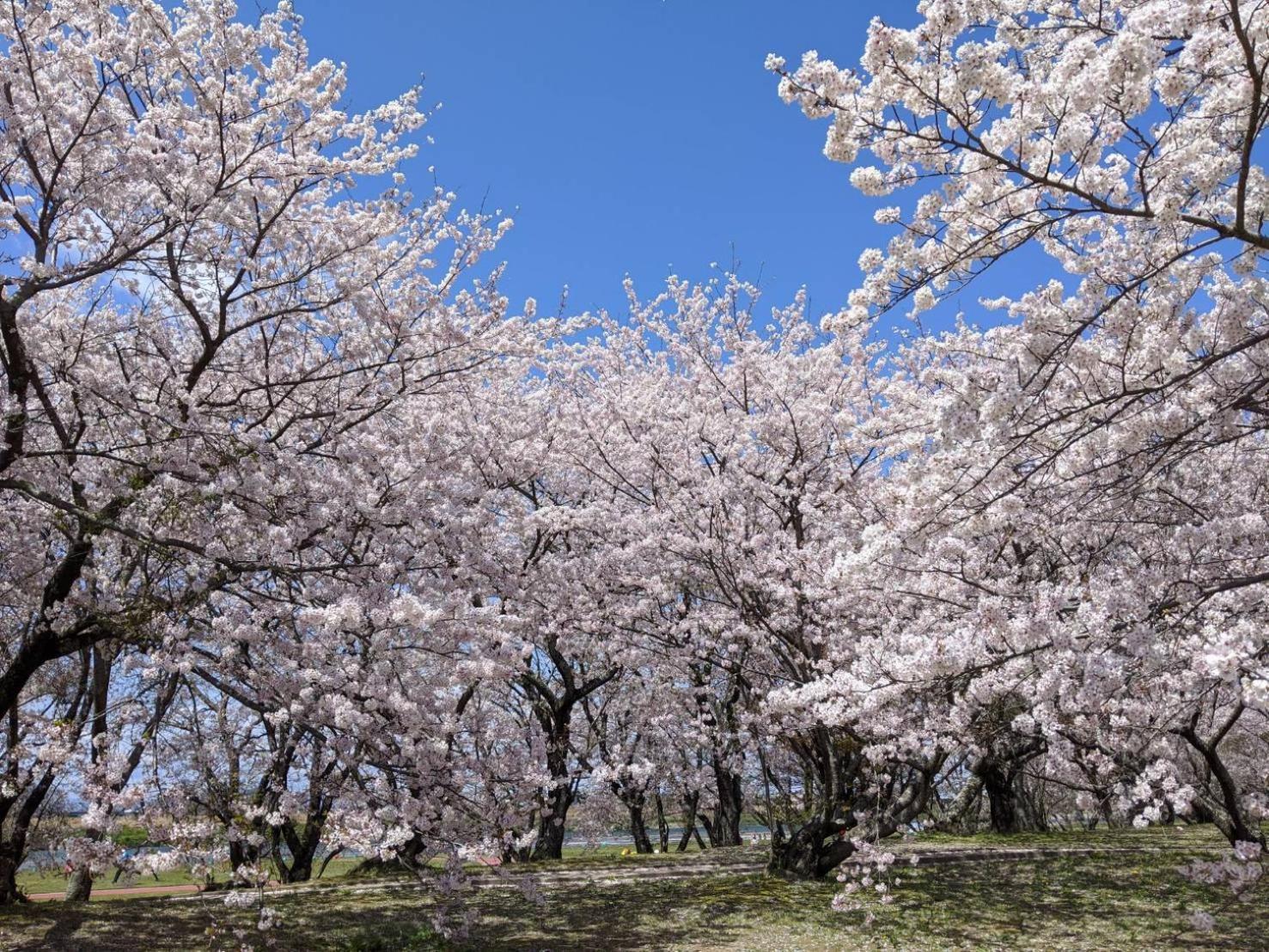 加美屋リゾート伊勢神宮 おかげの庭 Villa Ise Exterior foto